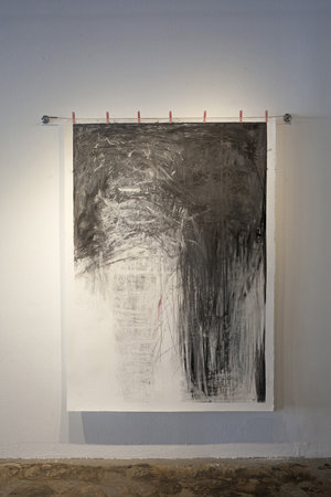 Deborah Decker